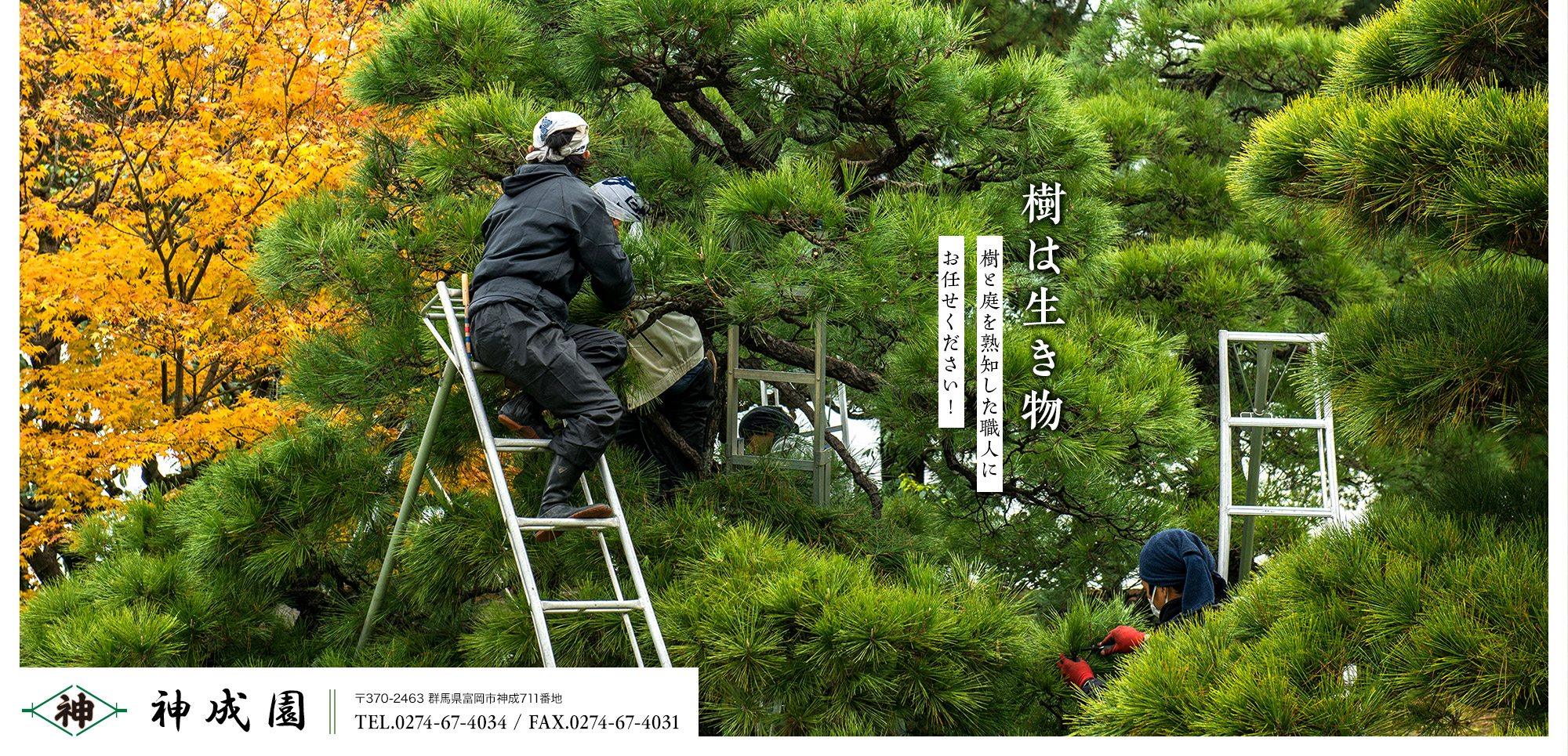 樹は生き物　樹と庭を熟知した職人にお任せください！